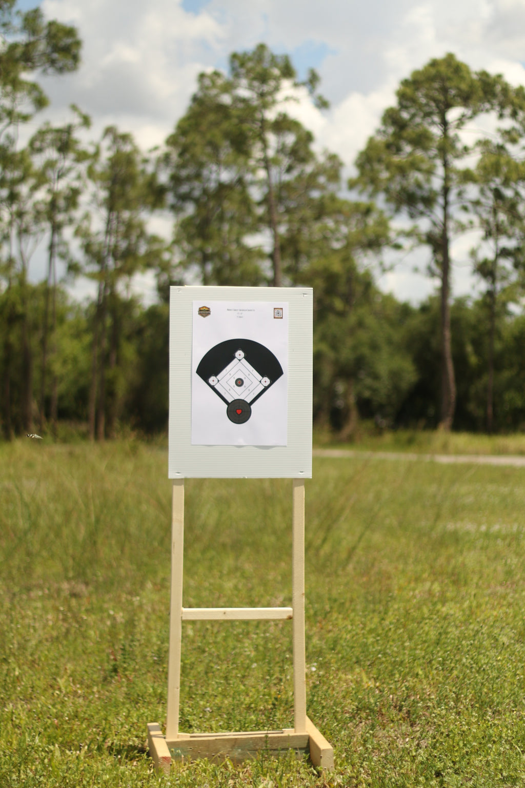 12x18" Baseball Theme Silhouette Range Target 15-Pack