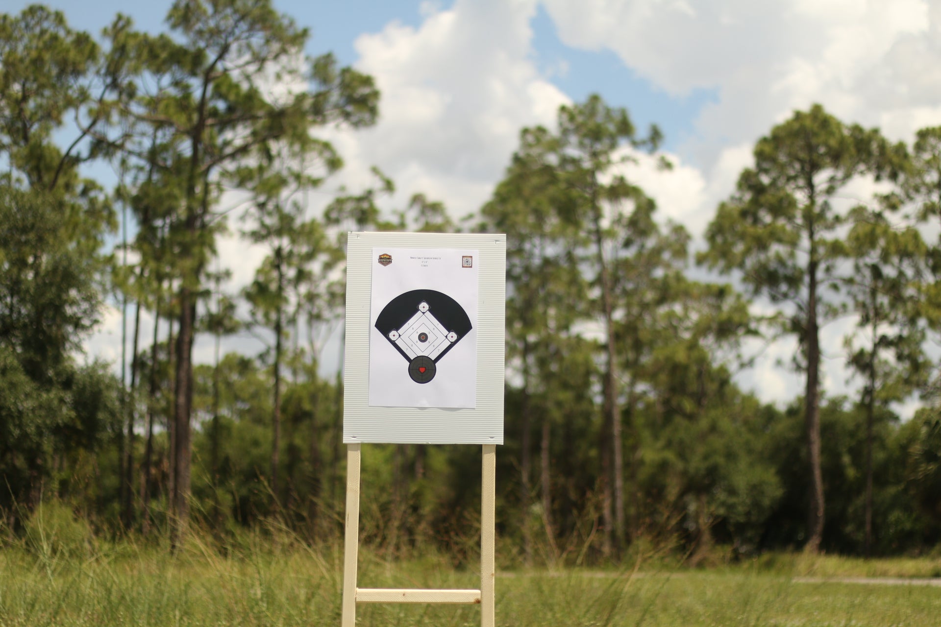 12x18" Baseball Theme Silhouette Range Target 15-Pack