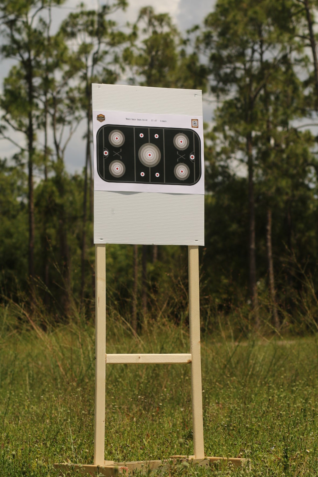 12x18" Frozen Face-off Ice Hockey Shooting Range Target 15-Pack